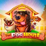 The Dog House at Monixbet Casino